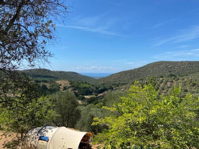 Divacamp Glamping Resort カンピーリア・マリッティマ エクステリア 写真